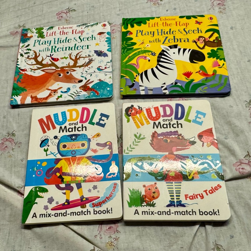 Usborne Lift-the-Flap Play Hide & Seek/Muddle Match Book Set